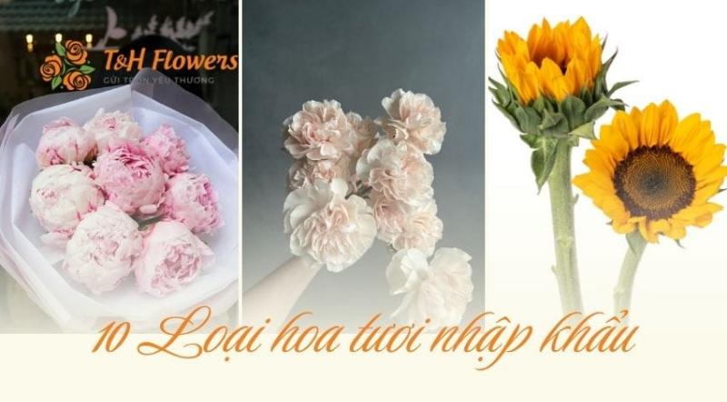 Một bình hoa lớn được thiết kế tinh tế, kết hợp nhiều loại hoa nhập khẩu khác nhau như hồng, mẫu đơn, tulip và các loại lá độc đáo, thể hiện sự đa dạng và giá trị có thể đạt được với ngân sách 500 đô la Mỹ